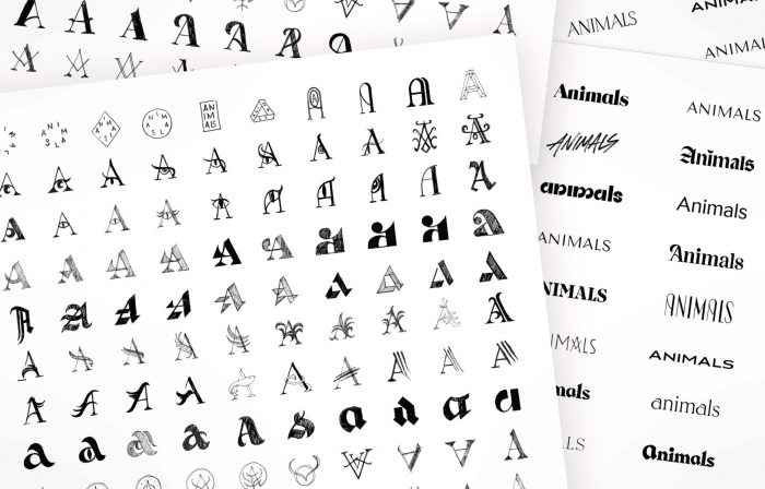 Cyril-Dosnon-Animals-Projet-1